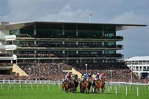 Cheltenham Festival Thursday tips: Best Bets and Newsboy's 1.